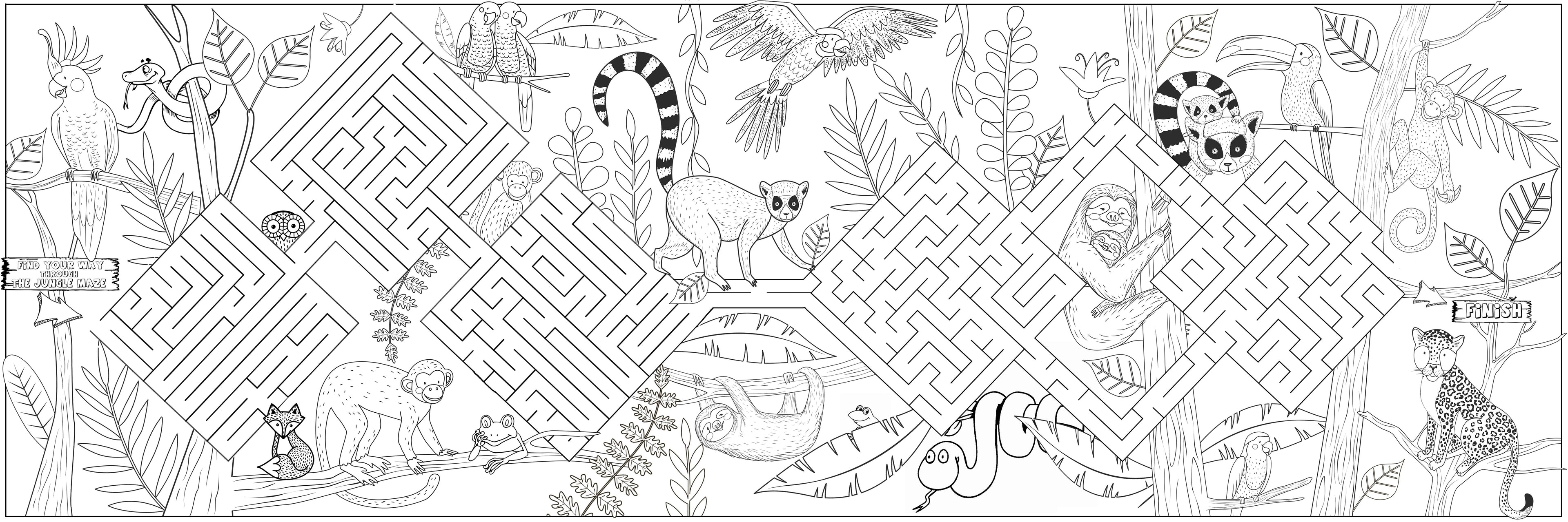Jungle Maze